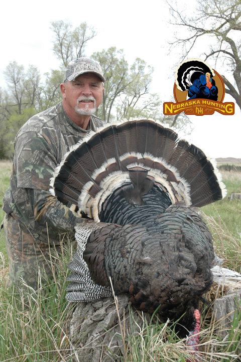 Merriam's Spring Turkey Hunt - 855-473-2875