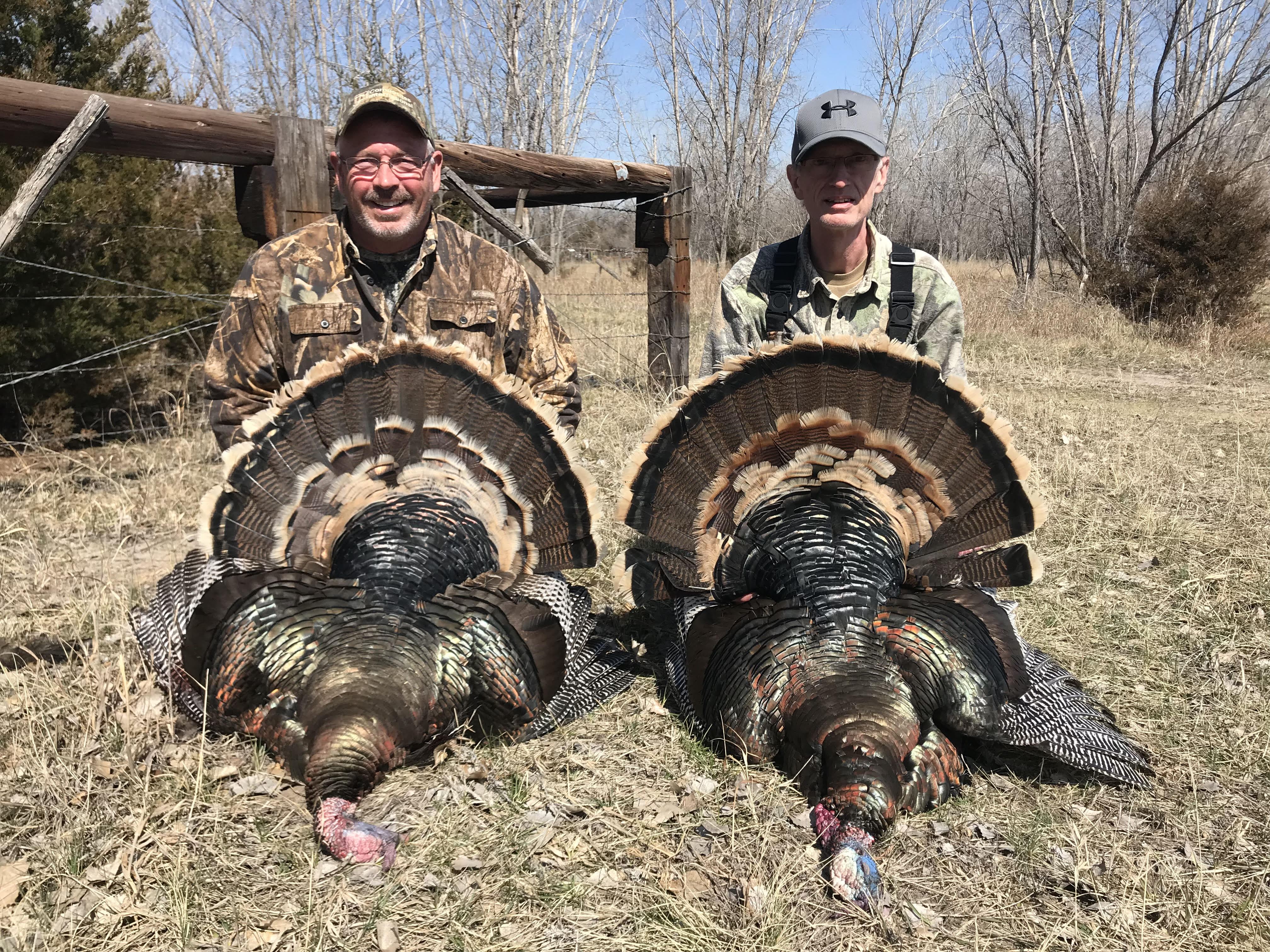 Merriam's Spring Turkey Hunts - 402-304-1192